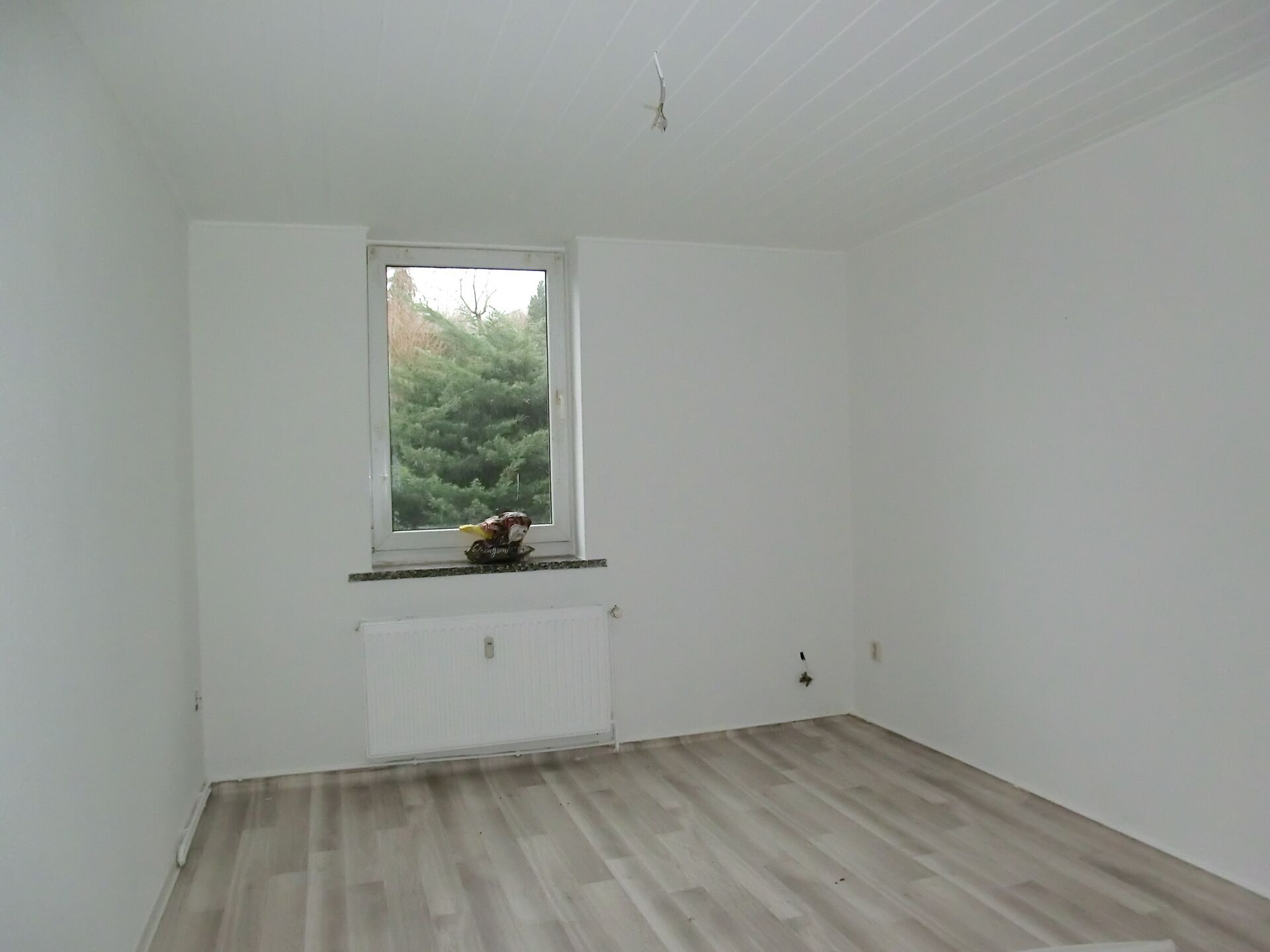 Immobilienangebote: Haus kaufen Weißwasser