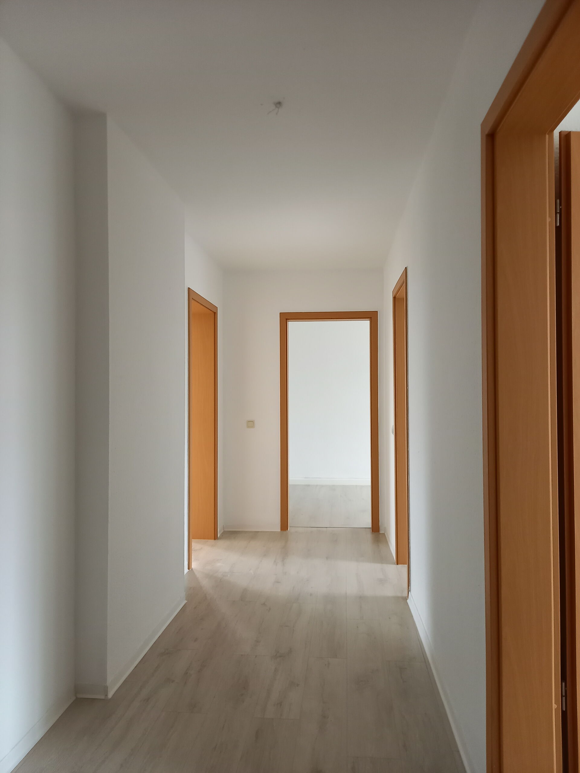 2-Zimmer-Wohnung